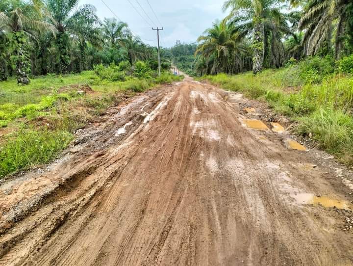 Dengan Adanya Jalan Yang Rusak Parah Warga Desa Tanjung Keputran Berharap Adanya Perbaikan dari Pemkot Muba