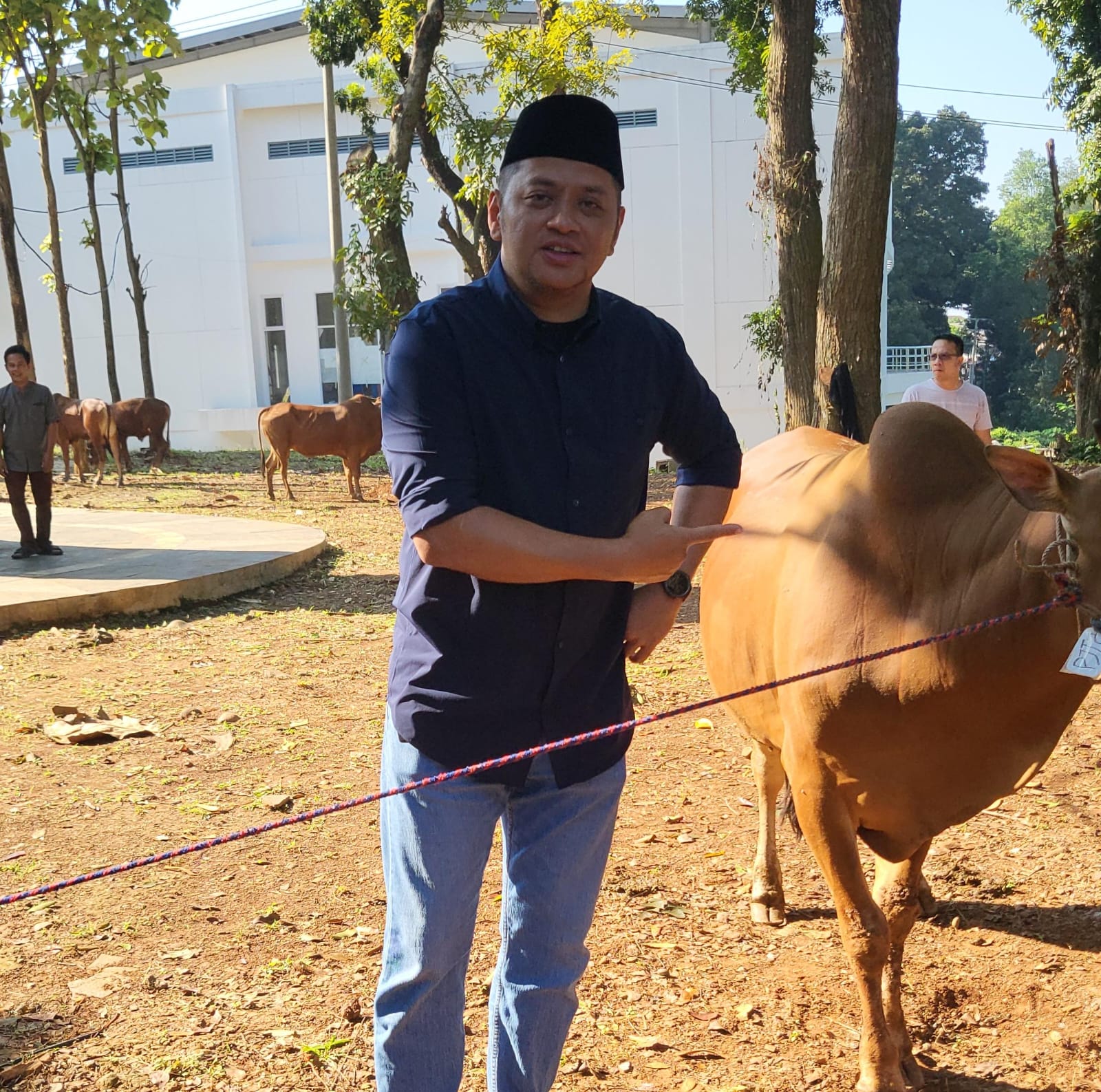 Berkurban untuk Negri, Perum Jasa Tirta II salurkan Hewan Kurban Sapi Sebanyak 14 Ekor
