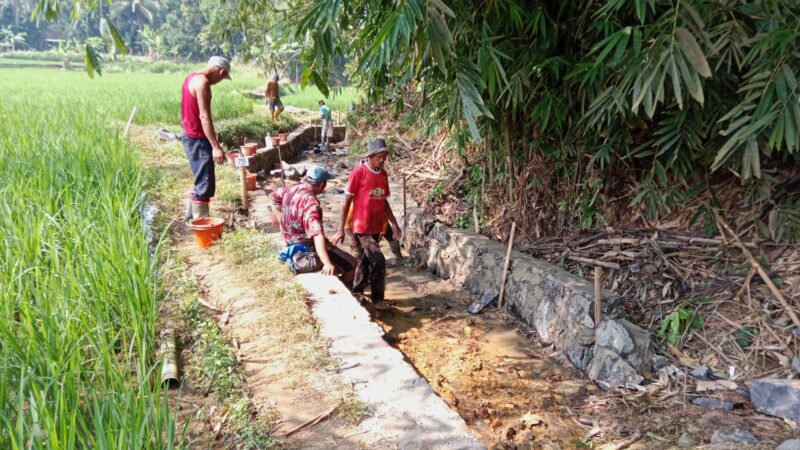 Melalui P3-TGAI, Petani Dilibatkan Aktif Tingkatkan Kualitas Jaringan Irigasi di Lebak
